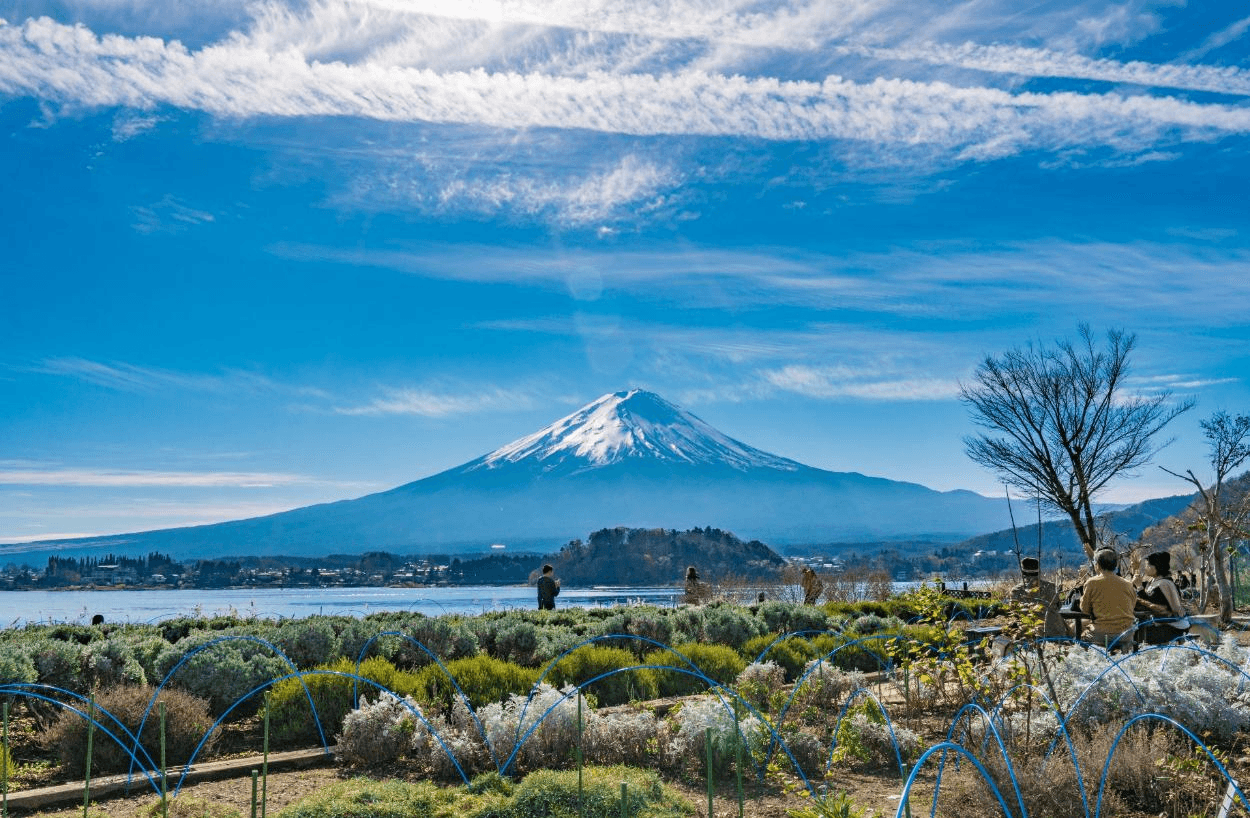 กอดลมหนาว สัมผัสโรแมนติก TOKYO FUJI YOKOHAMA FUJINOMIYA 6วัน 4คืน 5