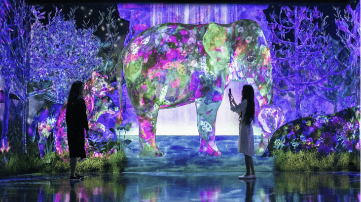 มหัศจรรย์...FUKUOKA เบปปุ ฟุกุโอกะ TEAMLAB FREEDAY 5 วัน 3 คืน 4
