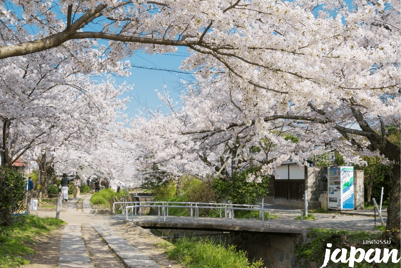 มหัศจรรย์...OSAKA นารา เกียวโต อิสระ 1 วัน 5 วัน 3 คืน 4