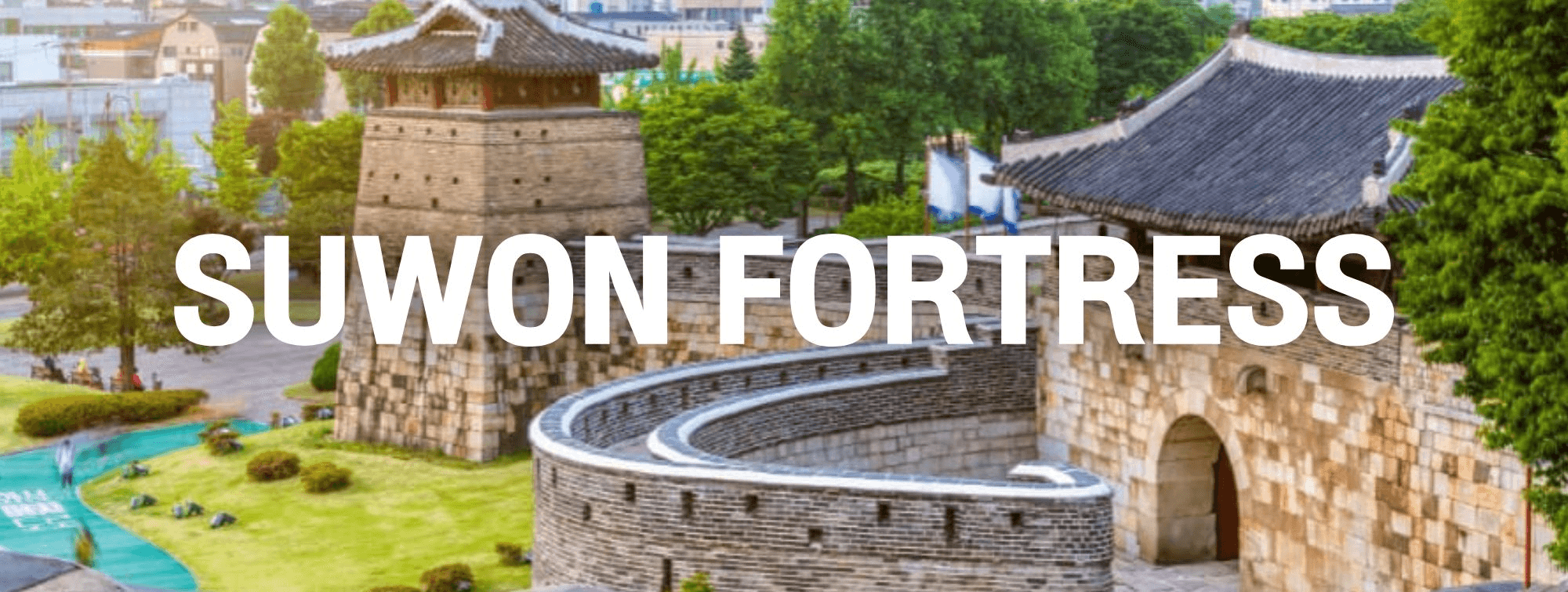 PRO SEOUL SUWON IN KOREA 5D3N 1