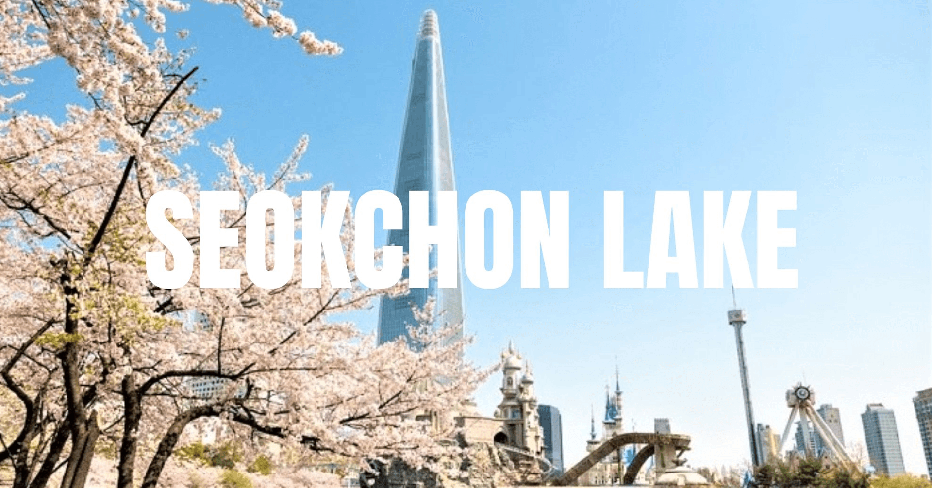 PRO CHERRY BLOSSOMS IN KOREA 5D3N 3