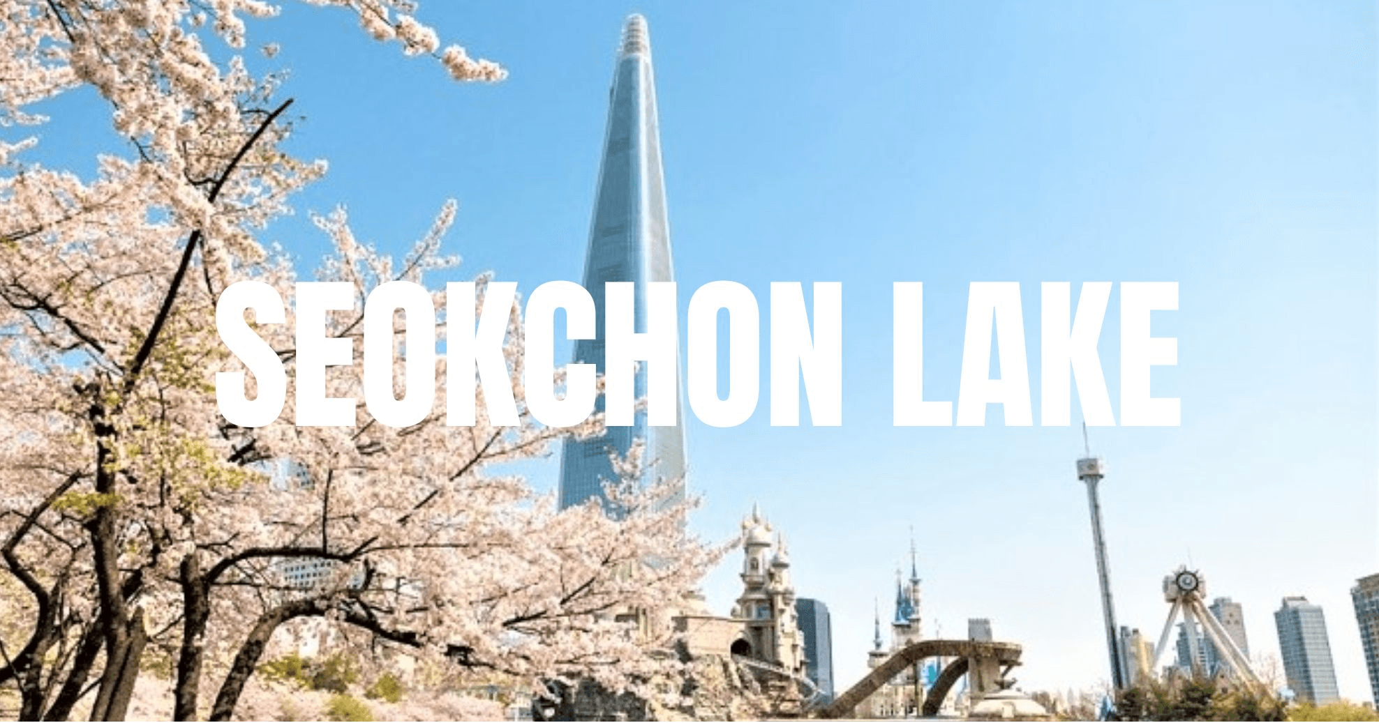 PRO CHERRY BLOSSOMS IN KOREA 5D3N 3