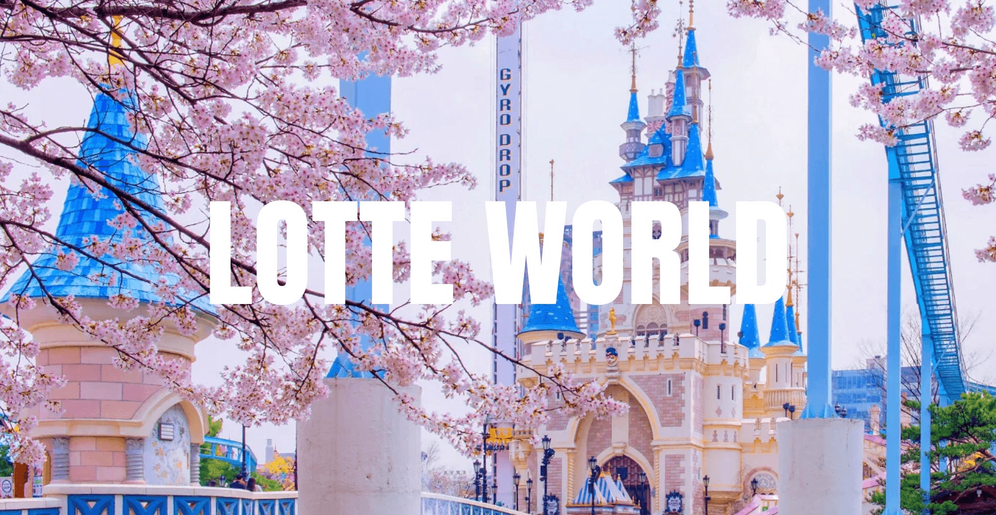 PRO CHERRY BLOSSOMS IN KOREA 5D3N 4