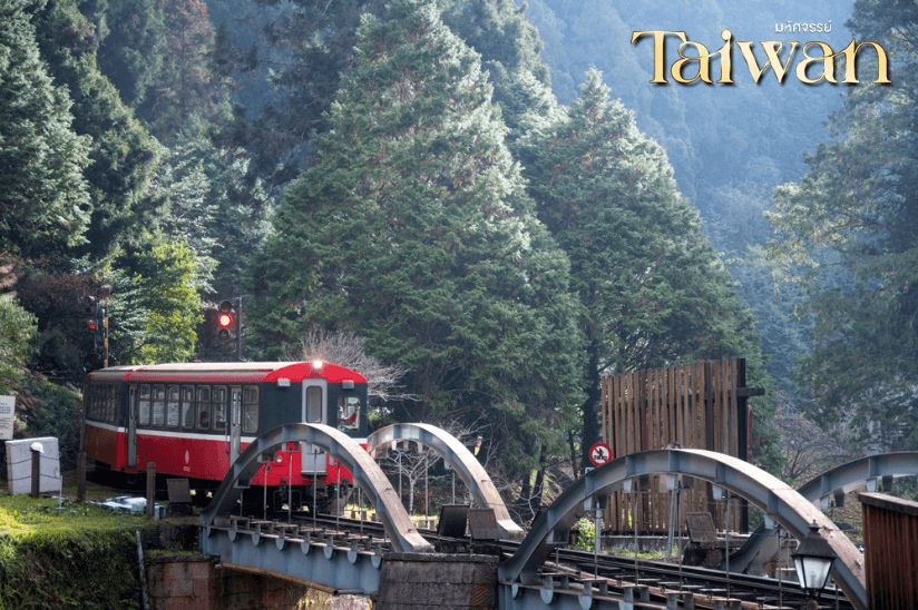 มหัศจรรย์..Alishan บินหรู อยู่สบาย 4 วัน 3 คืน 2
