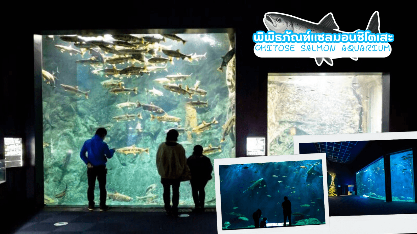 HOKKAIDO FURANO OTARU SAKURA 6D 4N โดยสายการบินไทยเวียตเจ็ทแอร์ 1