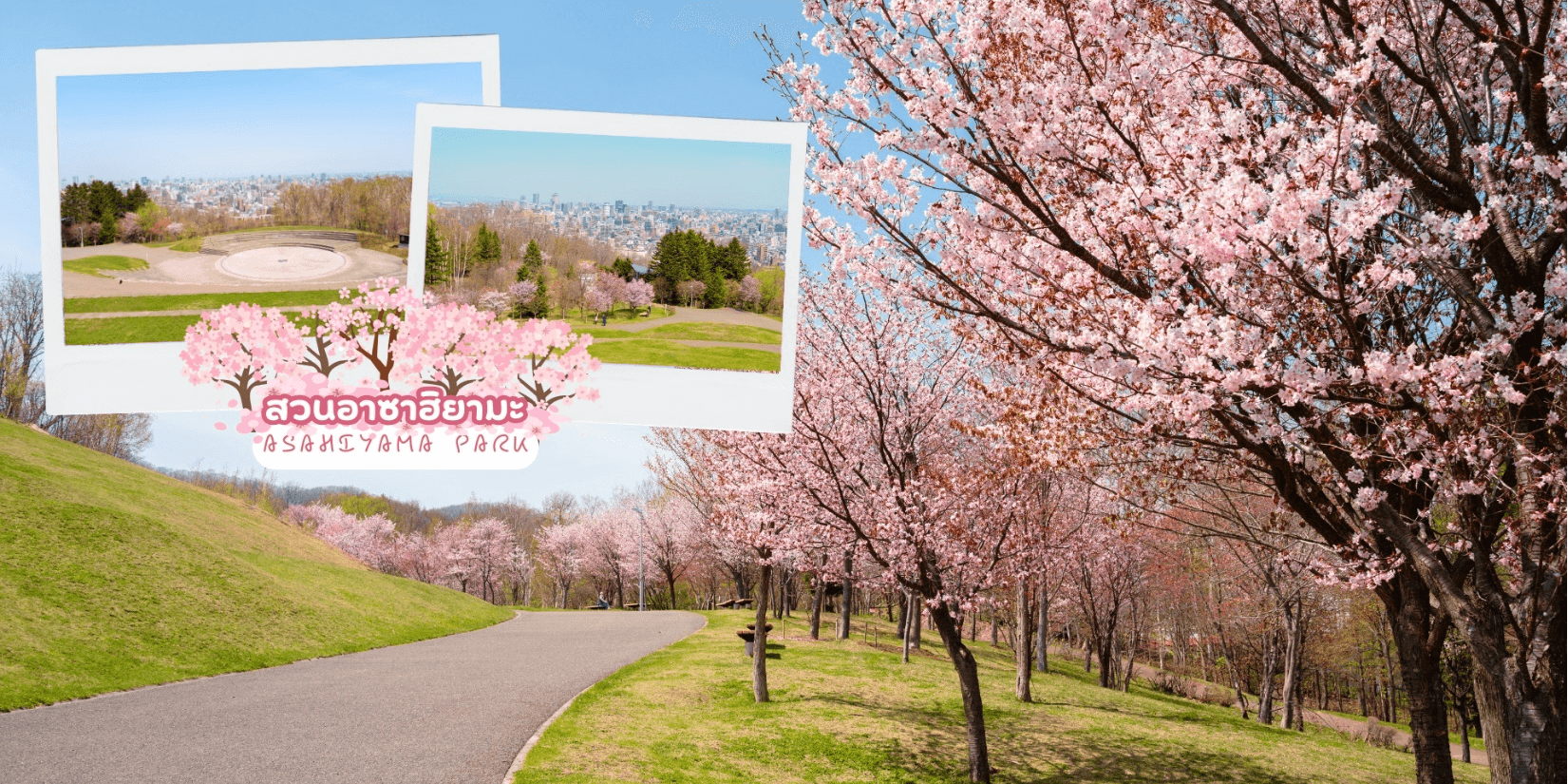 HOKKAIDO FURANO OTARU SAKURA 6D 4N โดยสายการบินไทยเวียตเจ็ทแอร์ 5