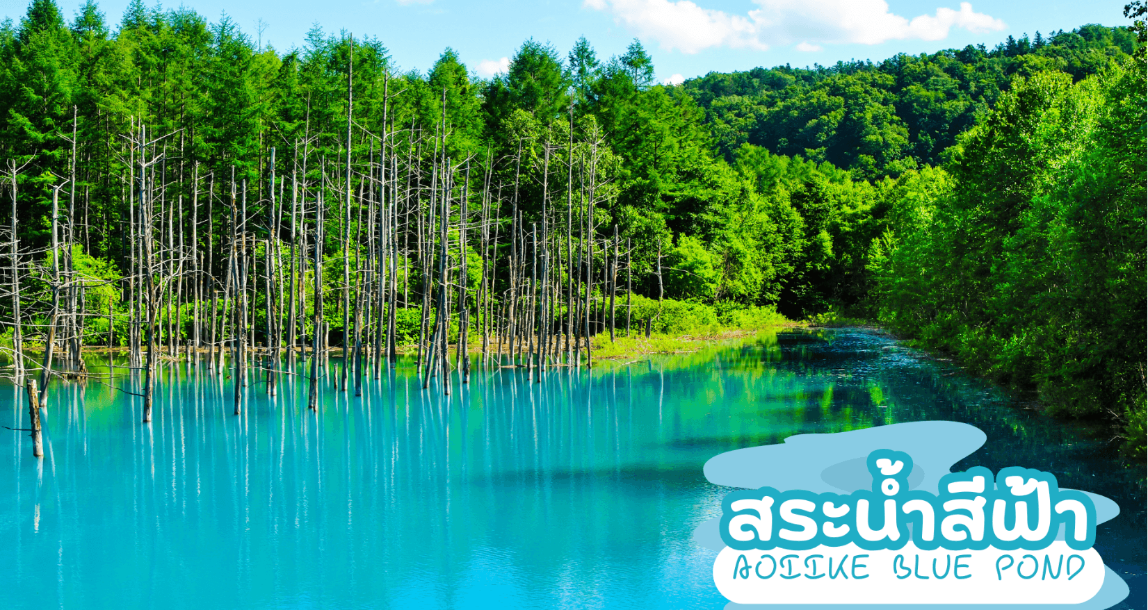 HOKKAIDO FURANO OTARU SAKURA 6D 4N โดยสายการบินไทยเวียตเจ็ทแอร์ 3