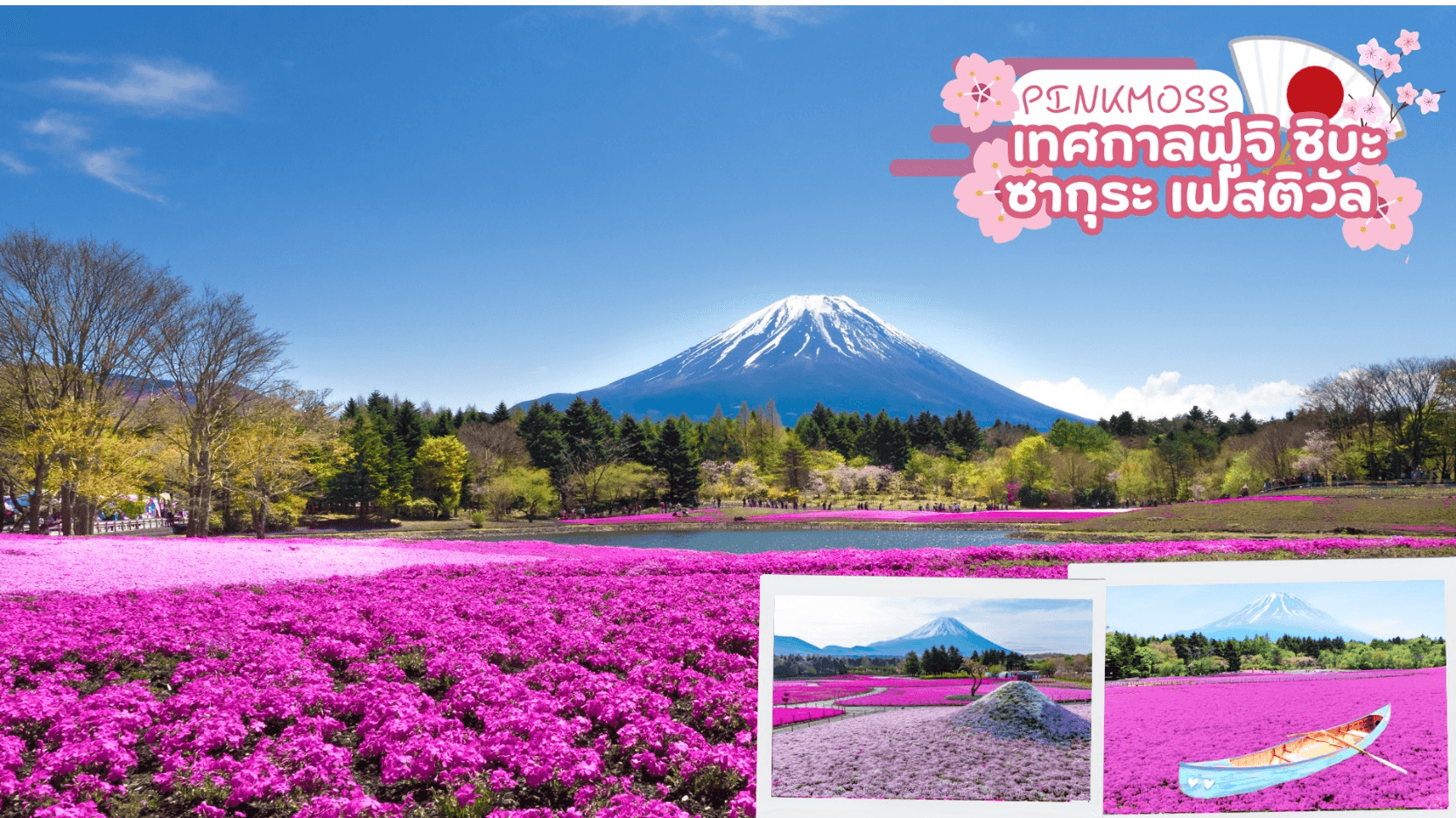 TAKAYAMA KAMIKOCHI FLOWER FUJI PINKMOSS 6D 4N 5