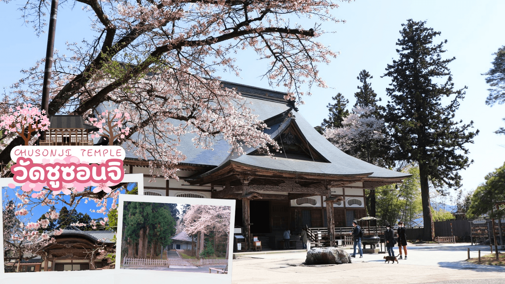 TOHOKU SENDAI HANAMAKI IWATE SAKURA 6D 4N 1