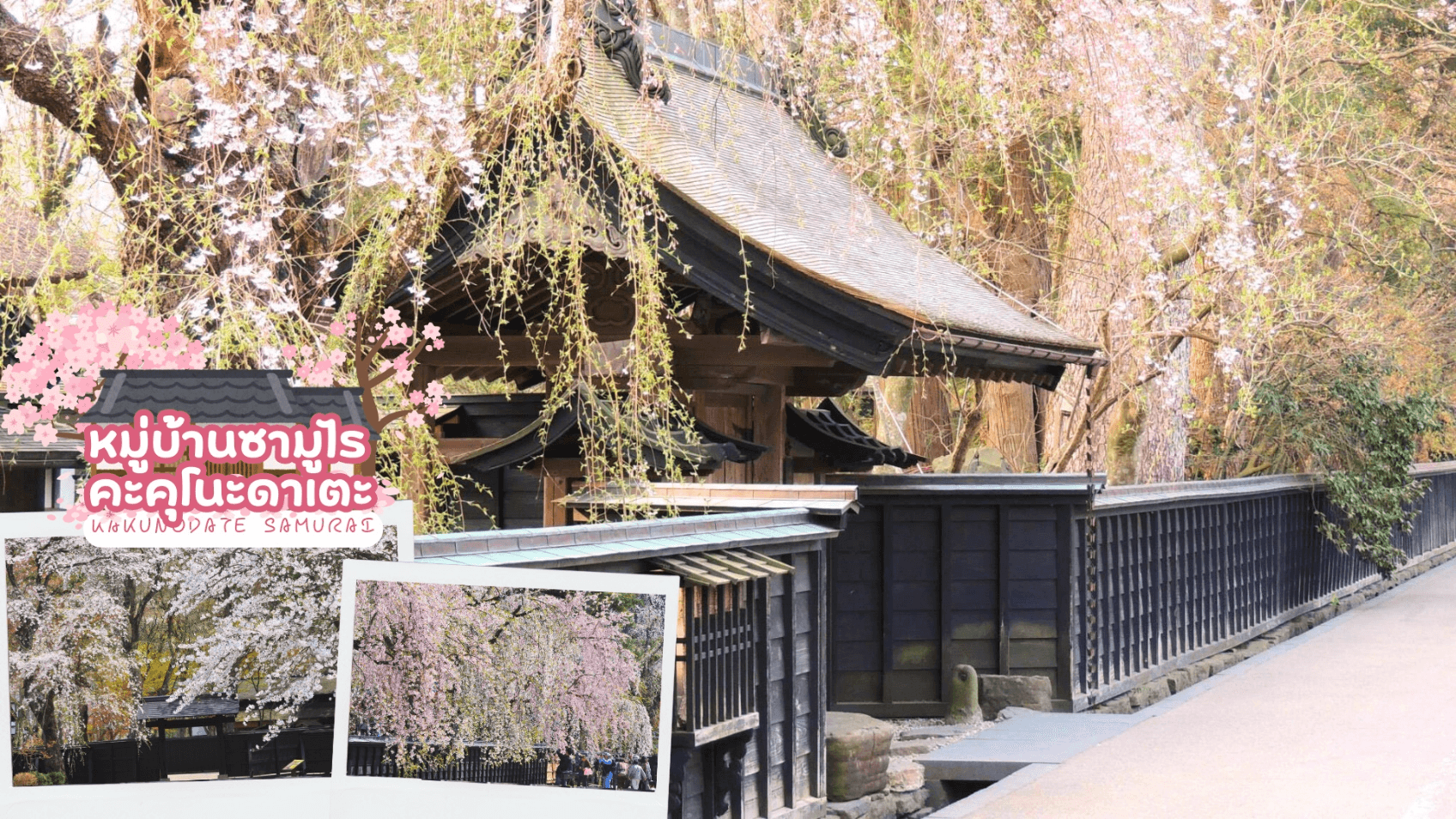 TOHOKU SENDAI HANAMAKI IWATE SAKURA 6D 4N 3