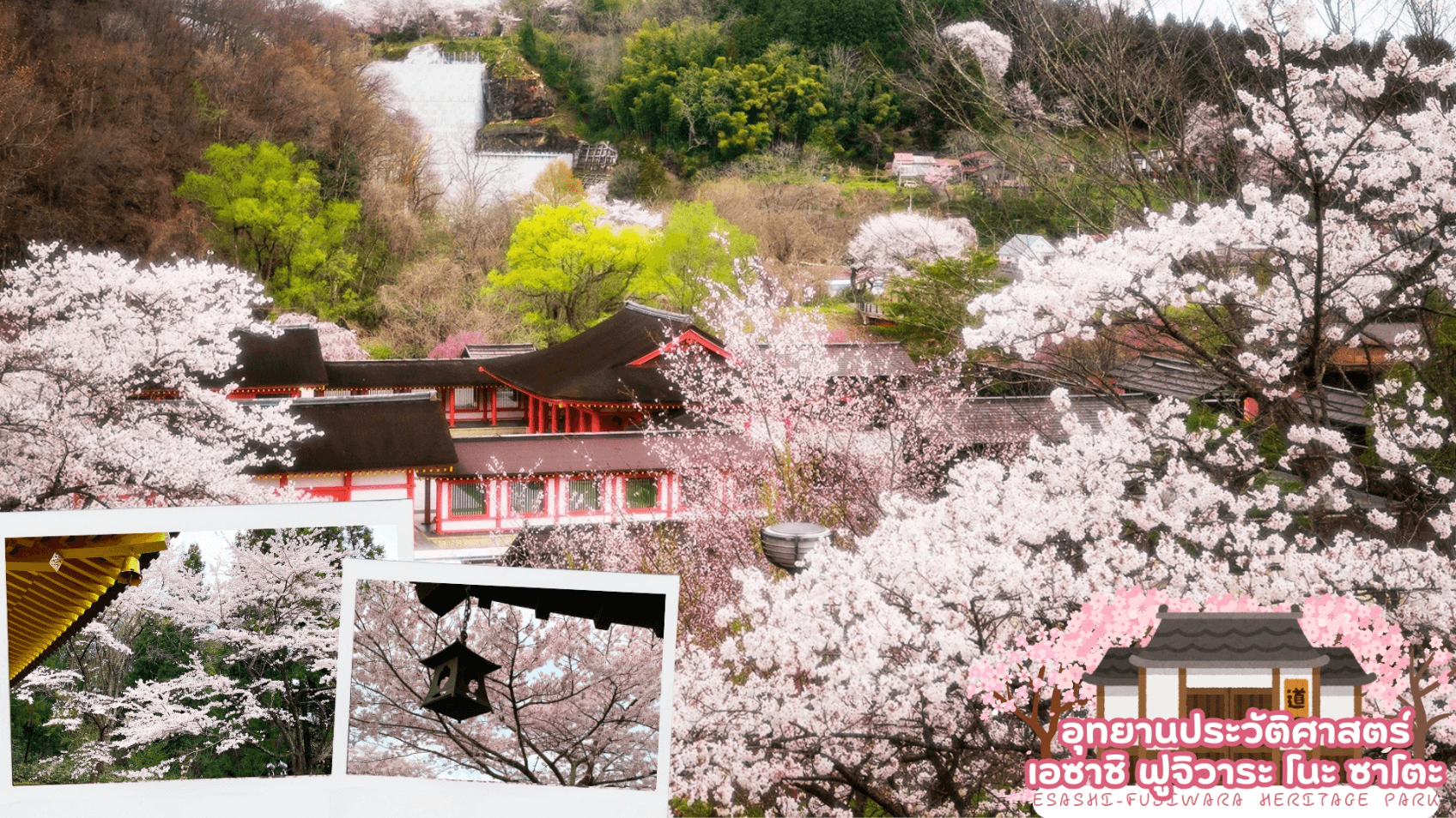 TOHOKU SENDAI HANAMAKI IWATE SAKURA 6D 4N 4
