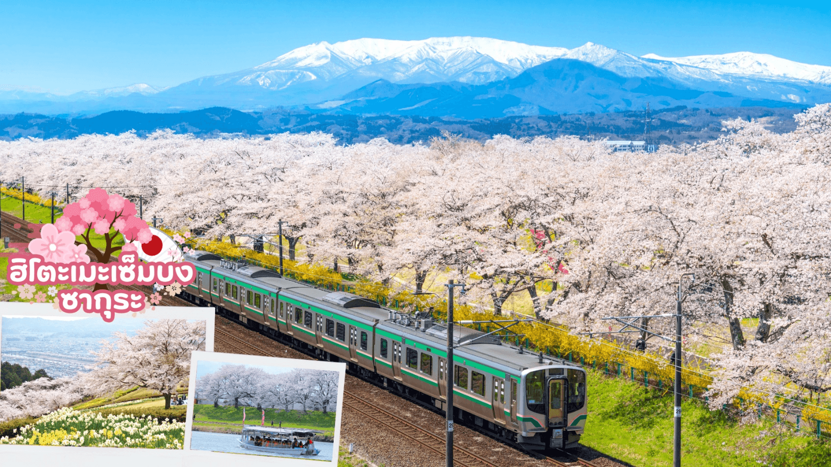 TOHOKU SENDAI FUKUSHIMA SAKURA 5D 3N 1