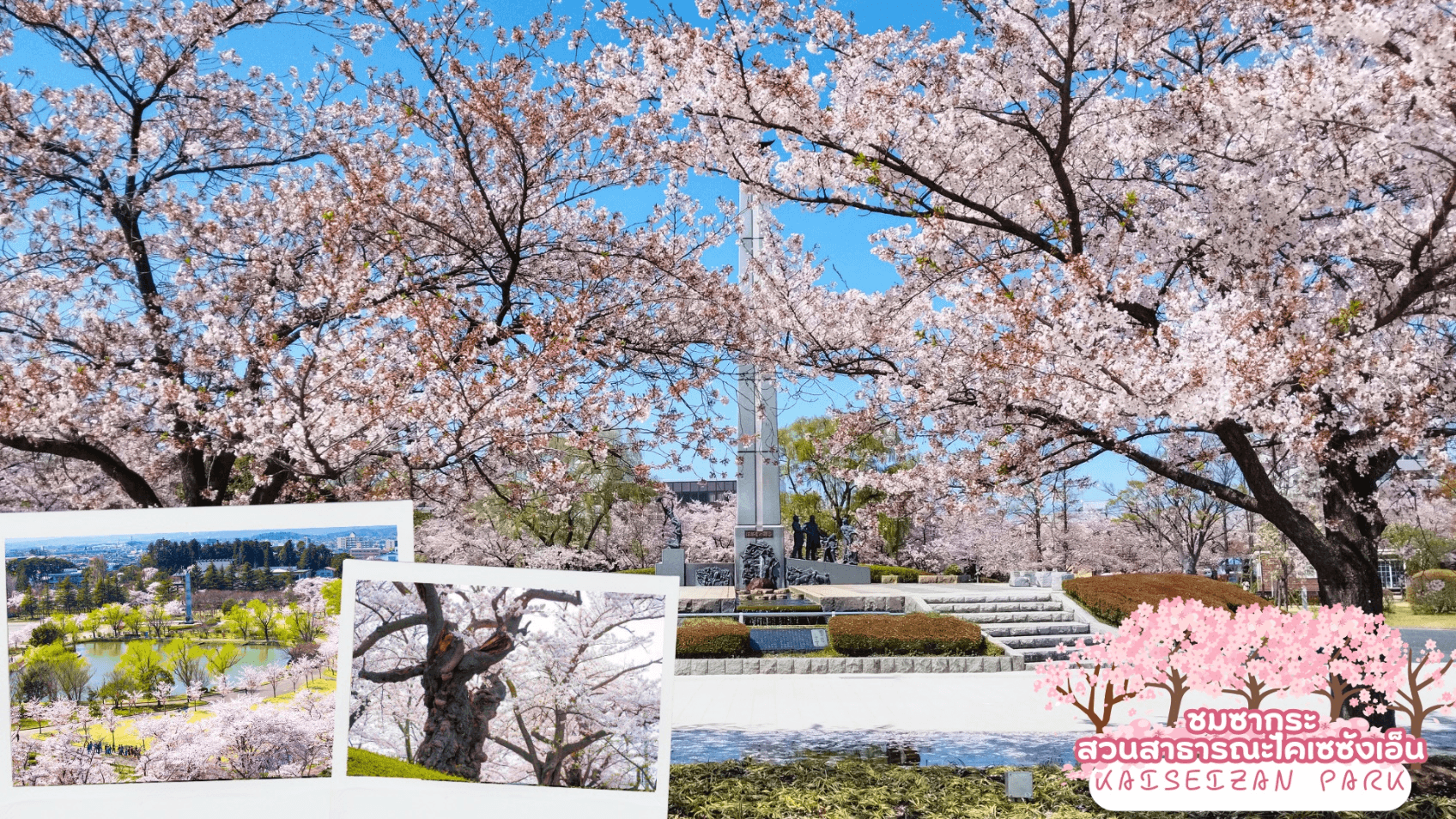 TOHOKU SENDAI FUKUSHIMA SAKURA 5D 3N 4