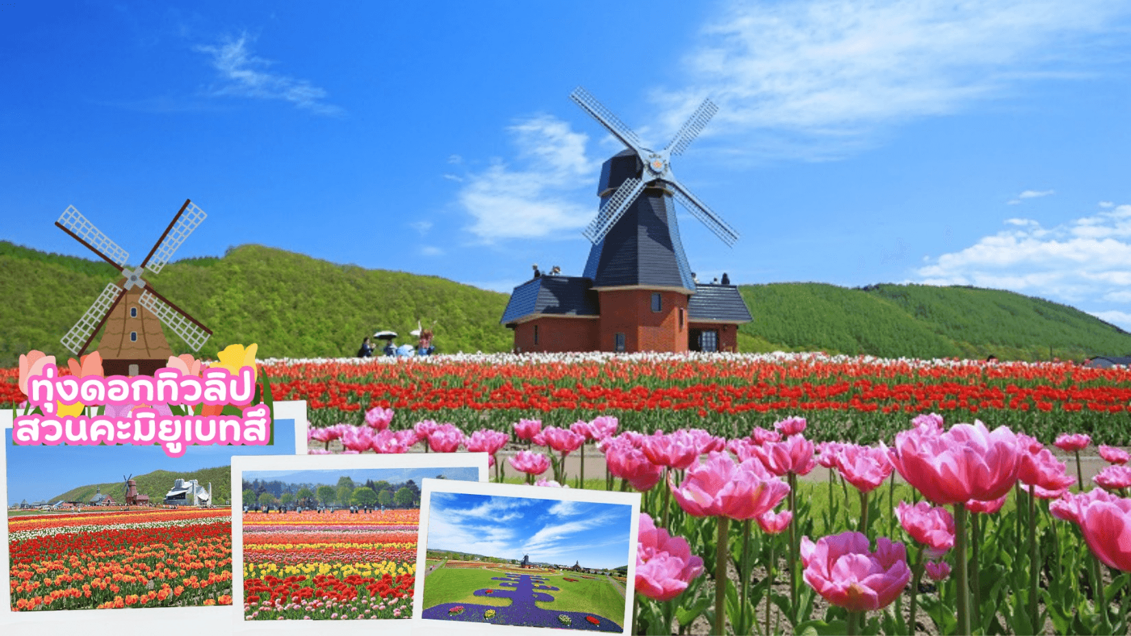 HOKKAIDO OTARU SOUNKYO COLORFUL 6D 4N 3