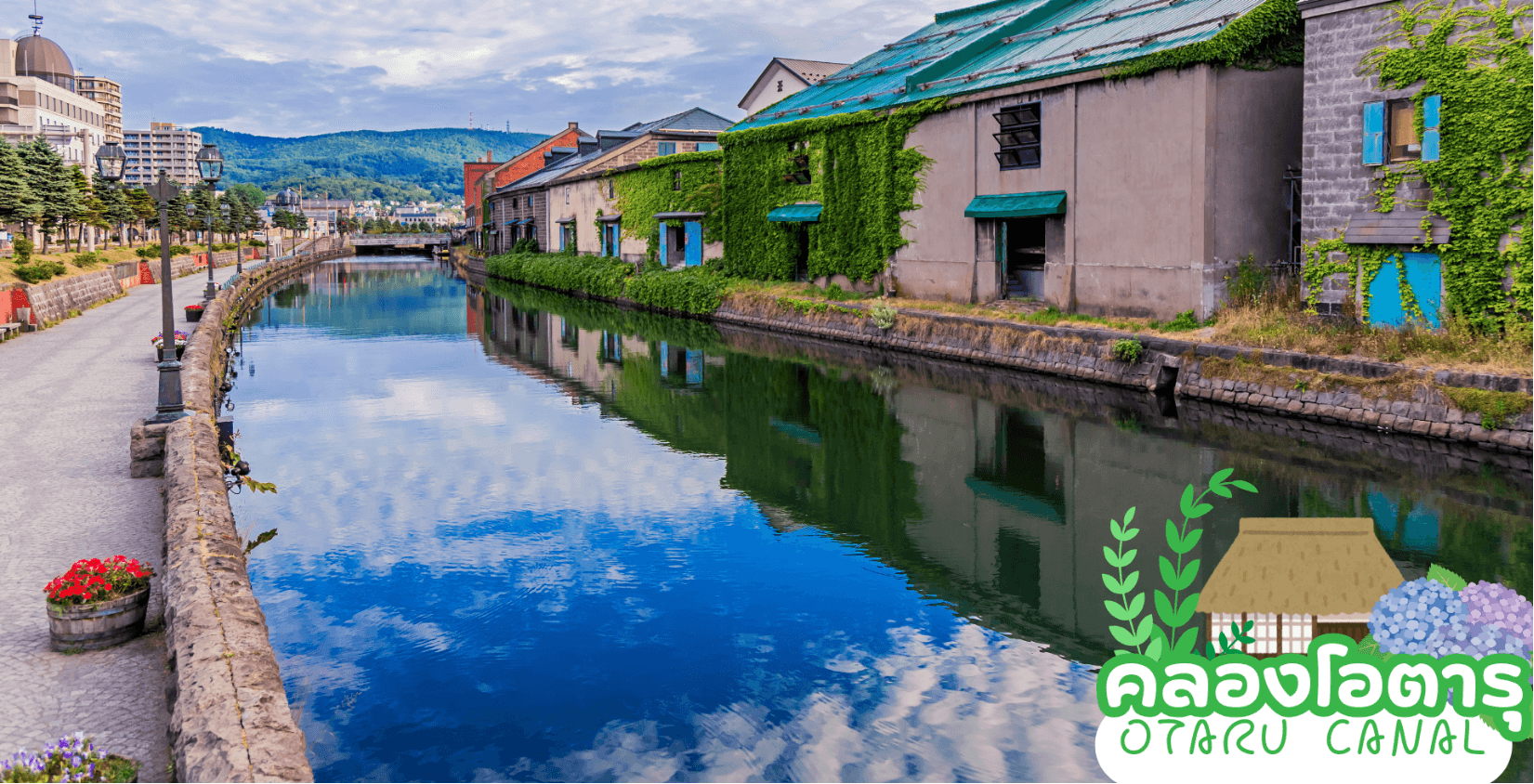 HOKKAIDO OTARU SOUNKYO COLORFUL 6D 4N 5