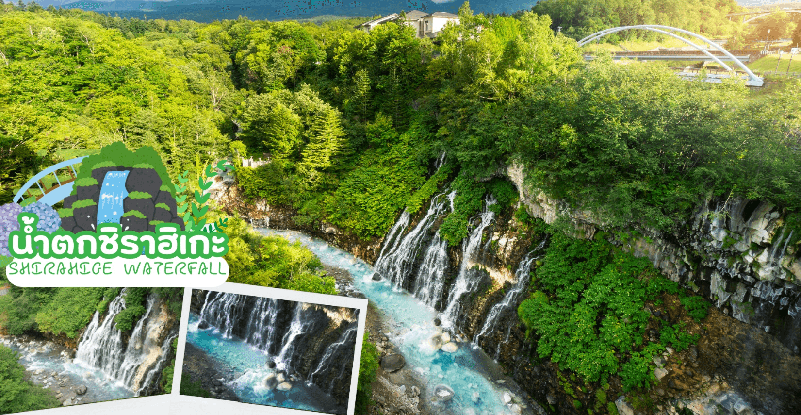 HOKKAIDO FURANO OTARU PINKMOSS 6D 4N 4