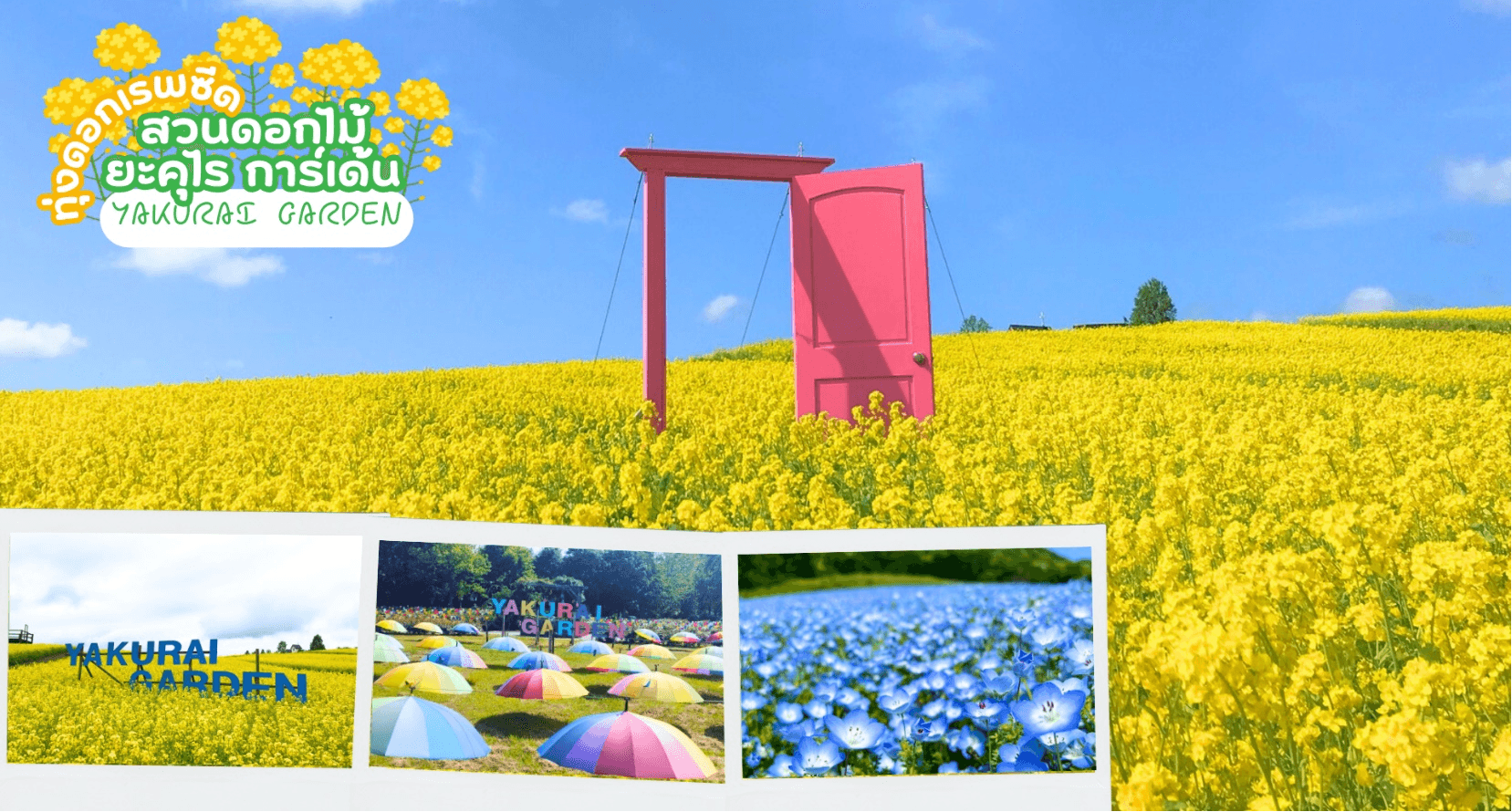TOKYO TOHOKU FUKUSHIMA SENDAI COLORFUL 6D 3N 4