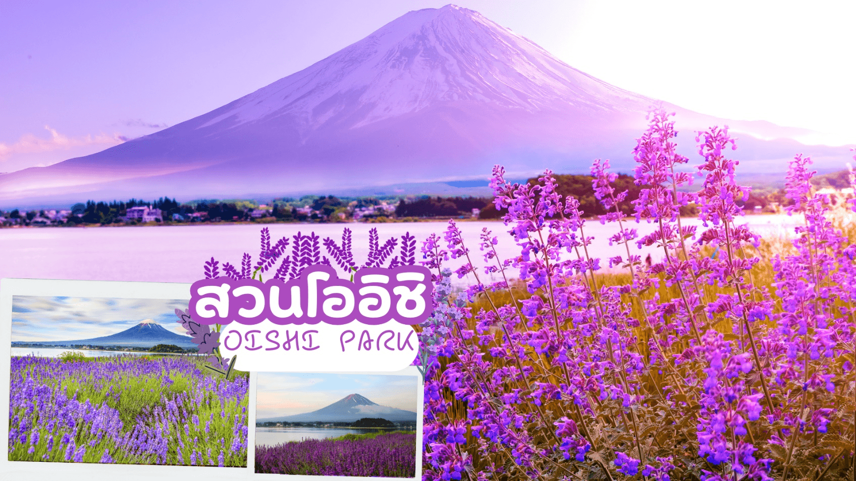 TOKYO FUJI OSAKA KAMIKOCHI LAVENDER 6D 4N 5
