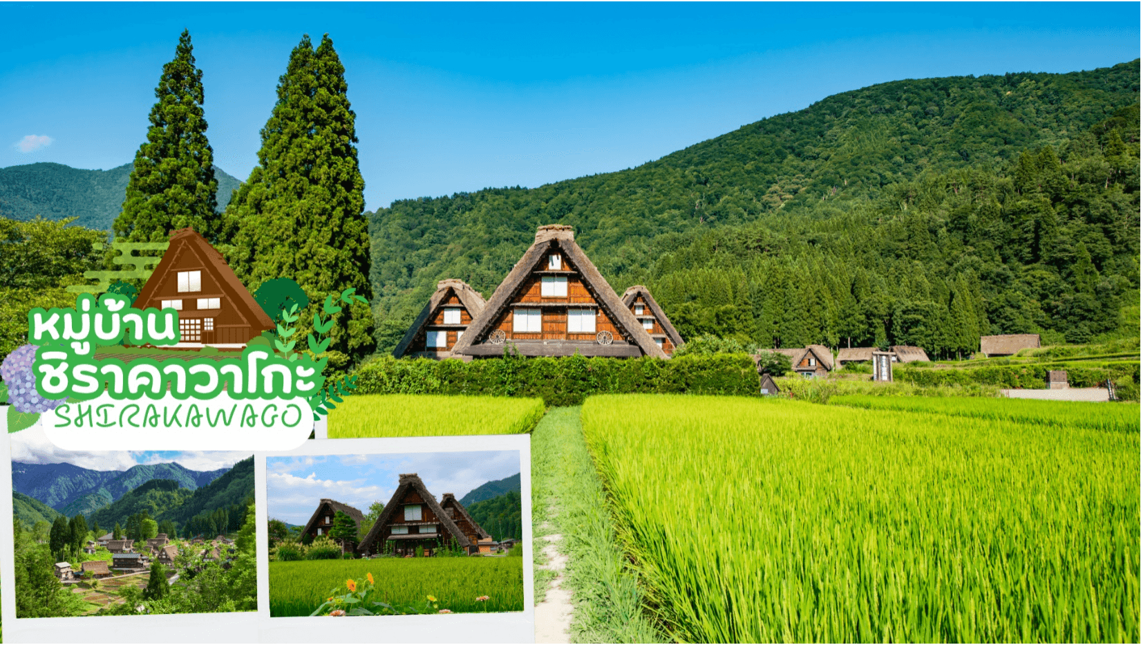 TAKAYAMA JAPAN ALPS FUJI PINKMOSS 7D 4N 3