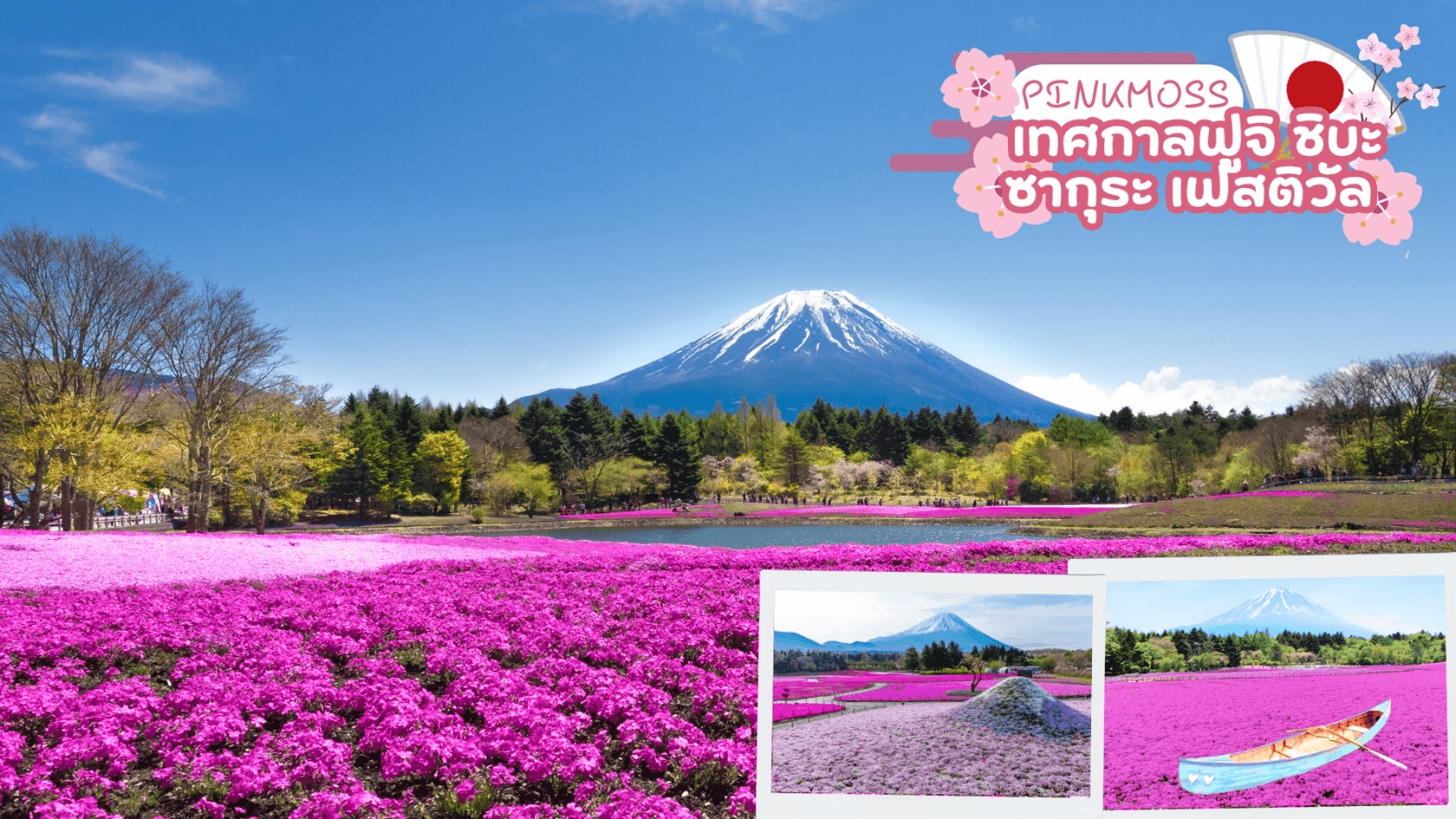 TOKYO FUJI OSAKA KAMIKOCHI PINKMOSS 6D 4N 4