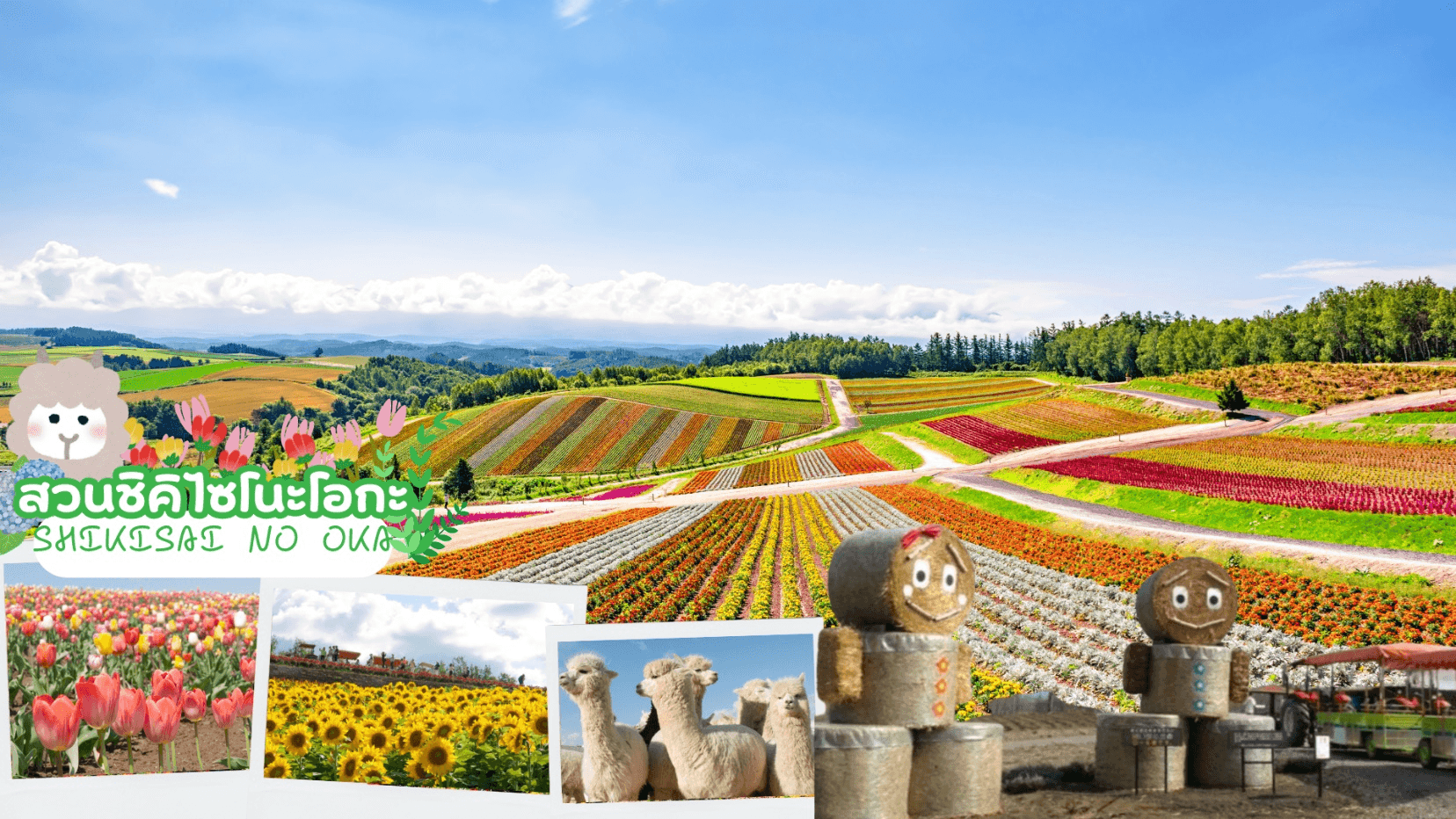 HOKKAIDO ROMANTIC OTARU FURANO FLOWER 6D 4N 4