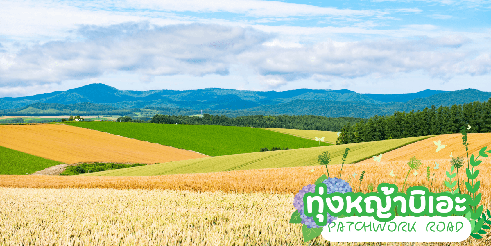 HOKKAIDO TOYA FURANO FRUIT & FLOWER 6D 4N 5