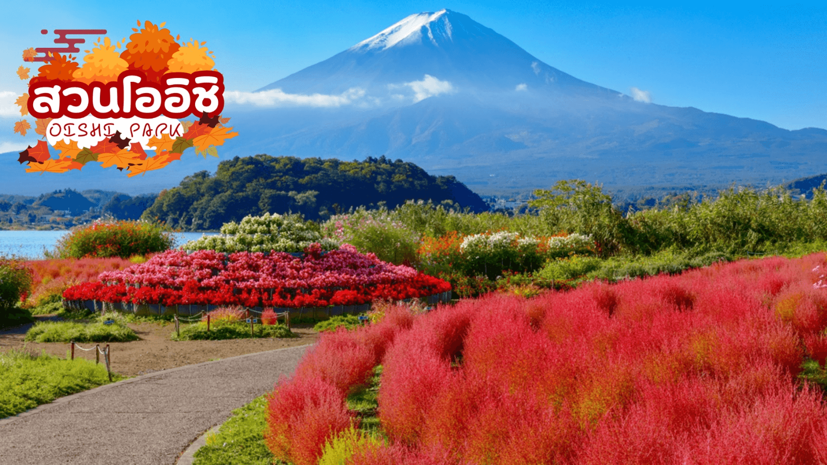 TOKYO FUJI KOCHIA ENOSHIMA 6D 3N 3
