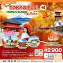 TOKYO FUJI MOMIJO KAIRO AUTUMN 6D 3N