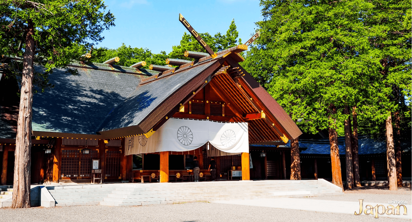 มหัศจรรย์...HOKKAIDO โทมิตะฟาร์ม บิเอะ อาซาฮิกาว่า โอตารุ 5 วัน 3 คืน 4