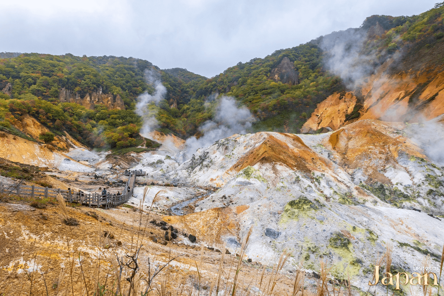 มหัศจรรย์...HOKKAIDO อาซาฮิกาว่า โทมิตะ โทยะ ซัปโปโร ชม 2 สวนดอกไม้อลังการ 6 วัน 4 คืน 4