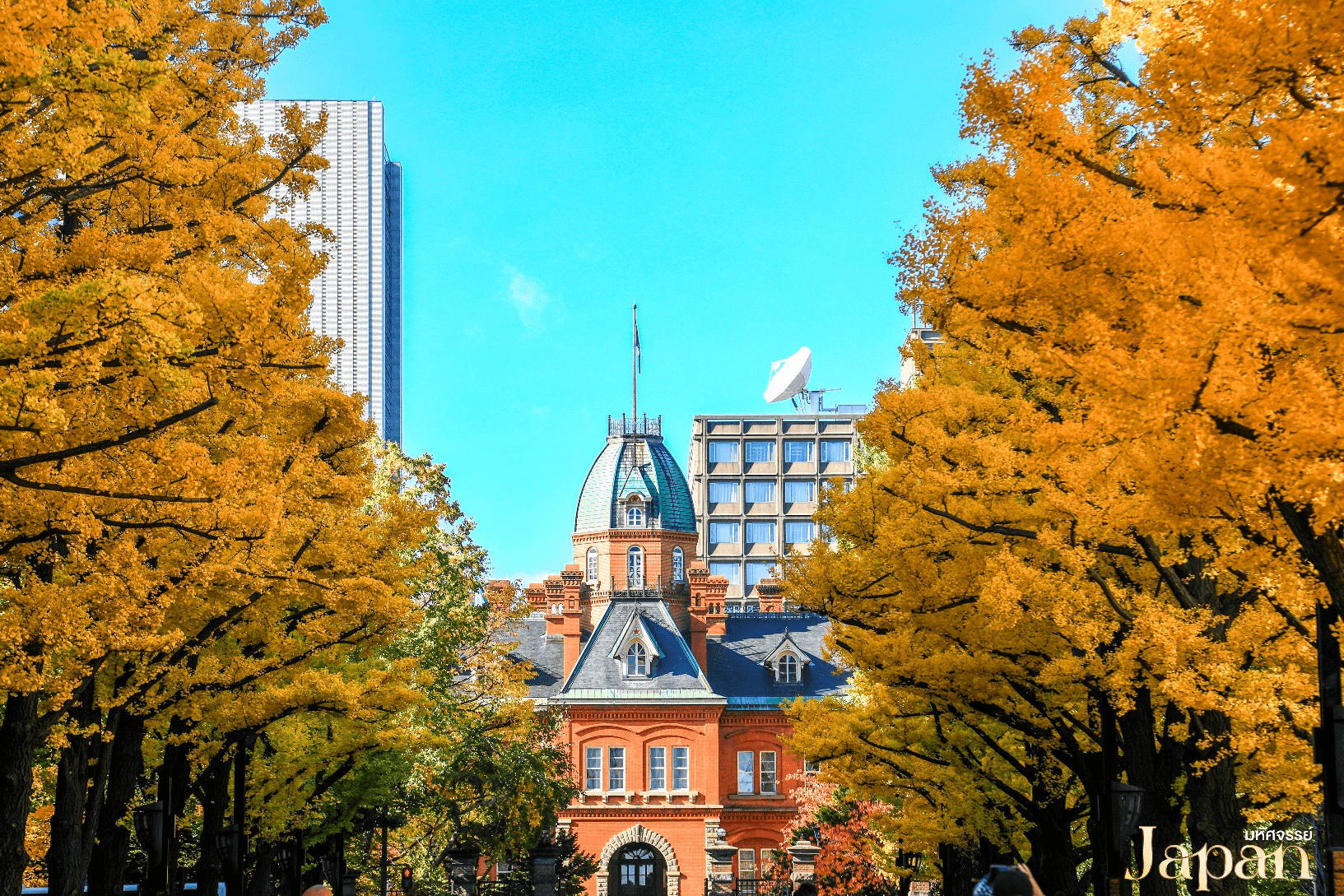 มหัศจรรย์...HOKKAIDO อาซาฮิกาว่า โซอุนเคียว โอตารุ โจซังเค 5 วัน 3 คืน 4