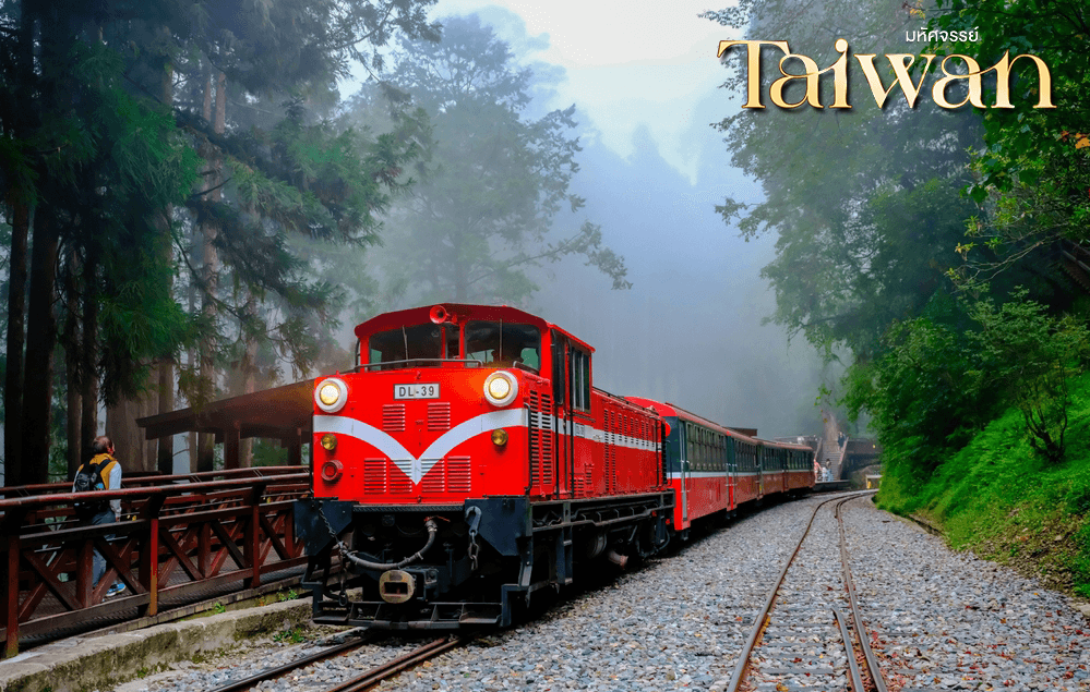 มหัศจรรย์..Alishan มหานครแห่งเมืองสีสัน เที่ยวจุใจ เช็คอินจุดไฮไลท์ 5 วัน 4 คืน 4