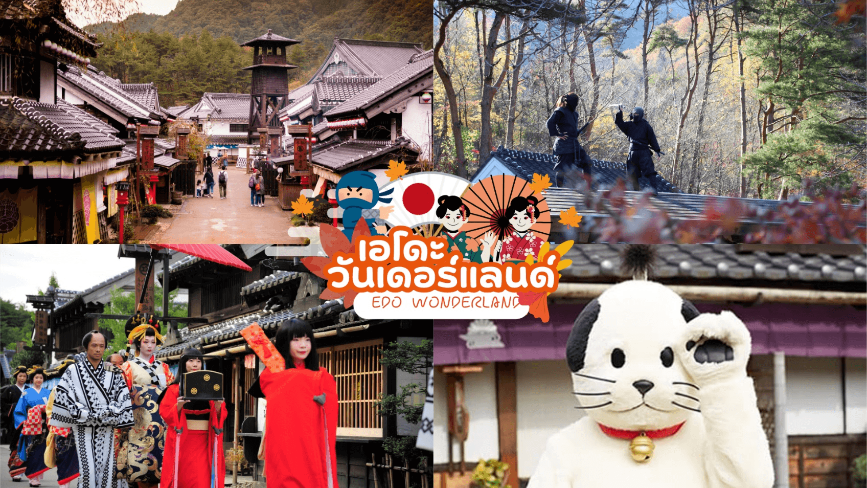 NIKKO EDO WONDERLAND HITACHIKOCHIA 6D 4N 3