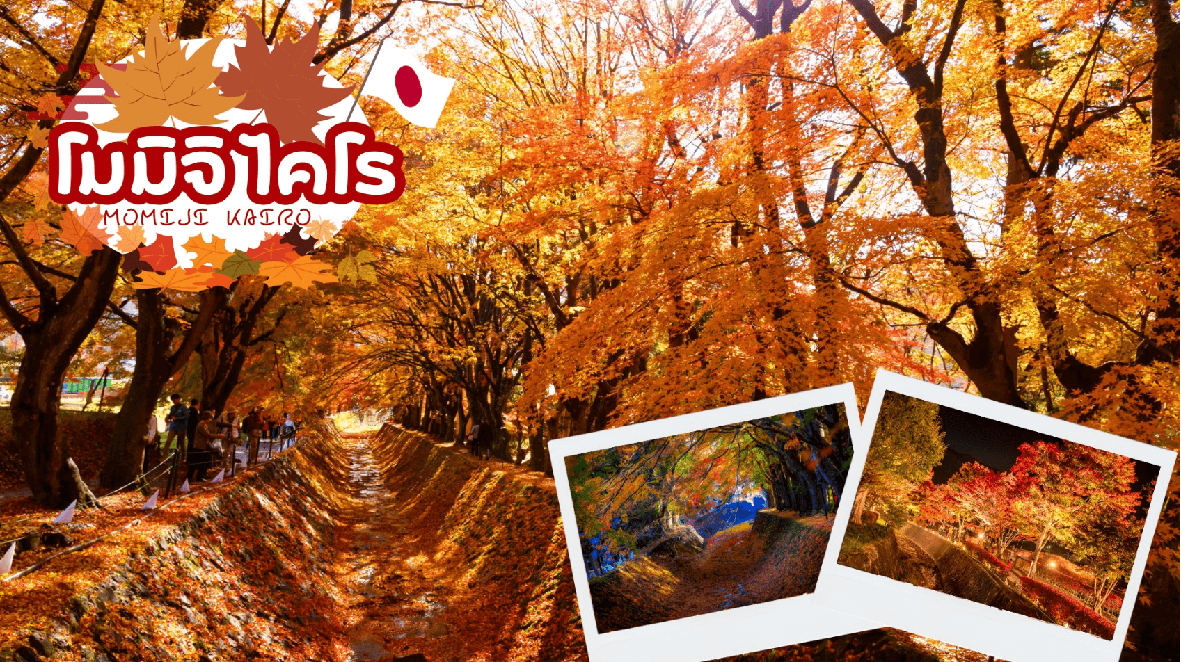 TOKYO FUJI NIKKO MOMIJI AUTUMN 6D 4N 5