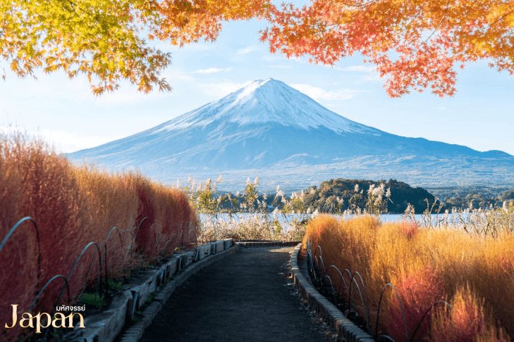 มหัศจรรย์…OSAKA คามิโคจิ ฮาคุบะ ชิราคาวาโกะ ฟูจิ นาบานาโนะซาโตะ 7 วัน 4 คืน 5