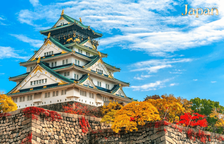 มหัศจรรย์…OSAKA คามิโคจิ ฮาคุบะ ชิราคาวาโกะ ฟูจิ นาบานาโนะซาโตะ 7 วัน 4 คืน 1