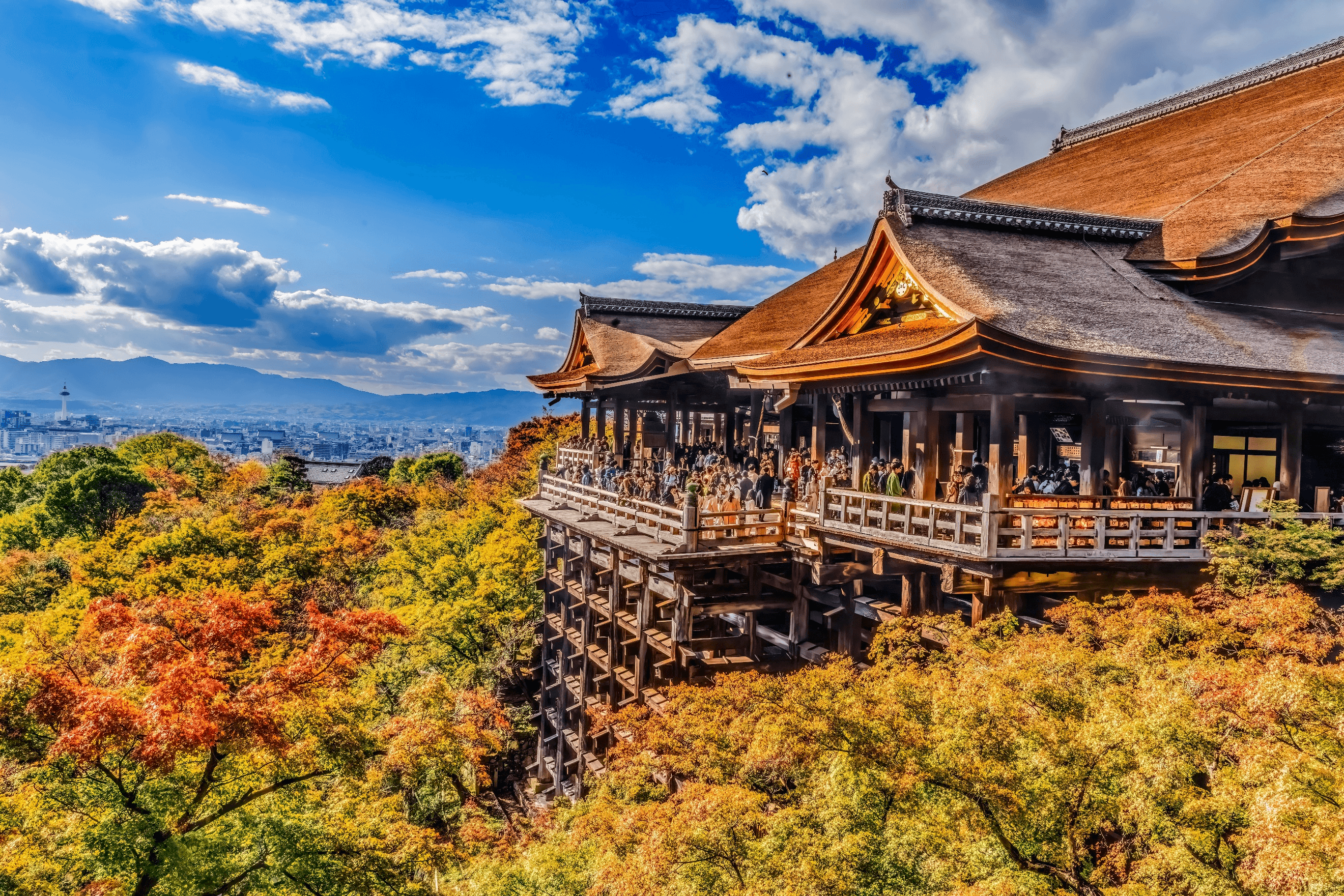 มหัศจรรย์…OSAKA คามิโคจิ ฮาคุบะ ชิราคาวาโกะ ฟูจิ นาบานาโนะซาโตะ 7 วัน 4 คืน 2