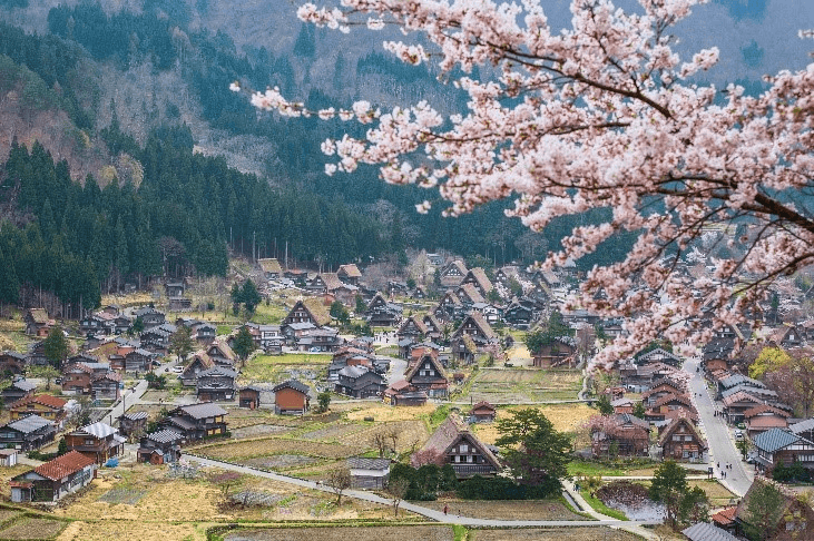 ไปเตอะไปแอ่ว ... CHIANGMAI OSAKA SHIRAKAWAGO TAKAYAMA KYOTO 5 วัน 3 คืน 4