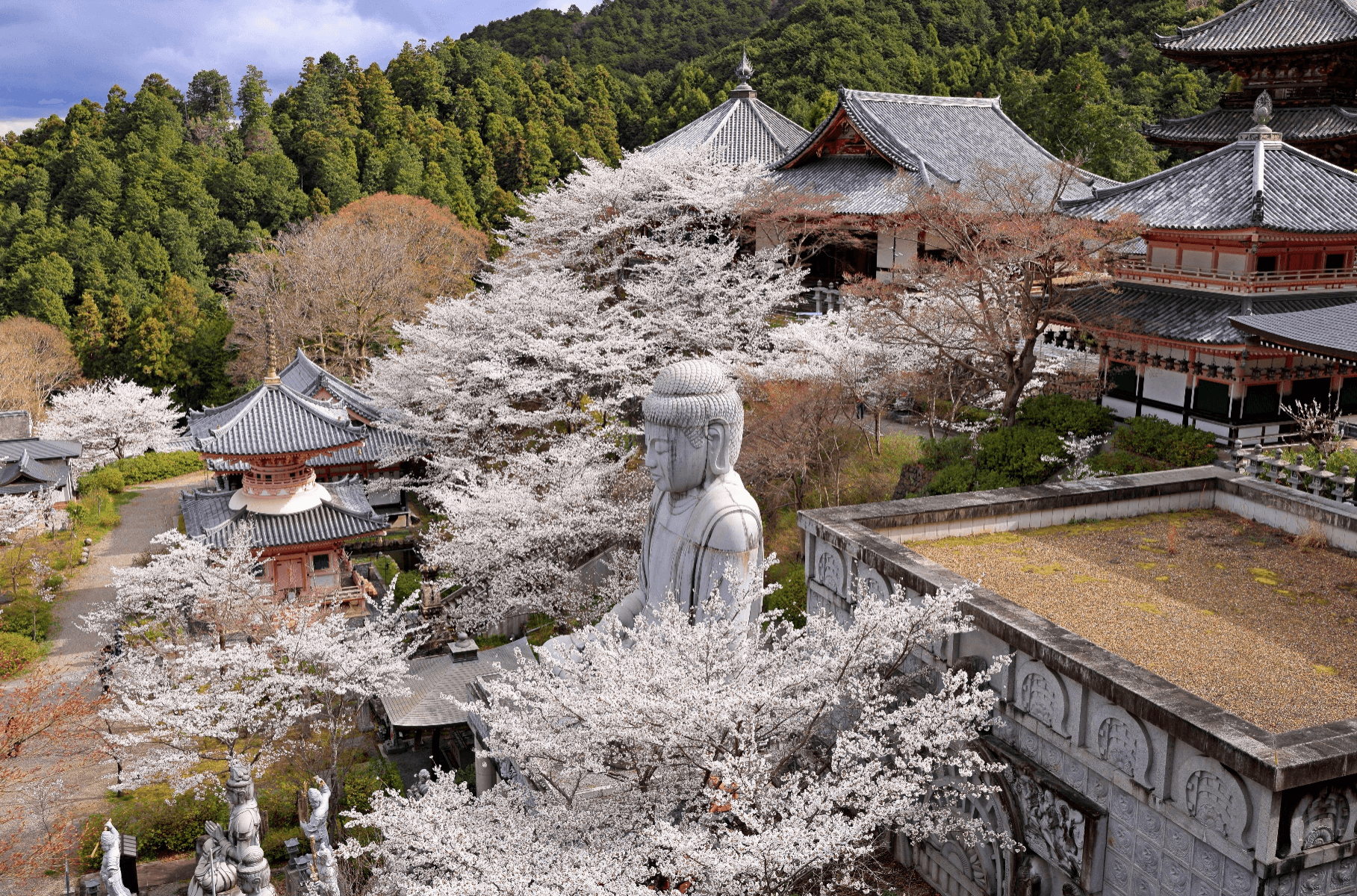 ไปเต๊อะไปแอ่ว…โอ้ยงามขนาดChiangmai OSAKA SHIRAKAWAGO TAKAYAMA KYOTO 6 วัน 4 คืน 2