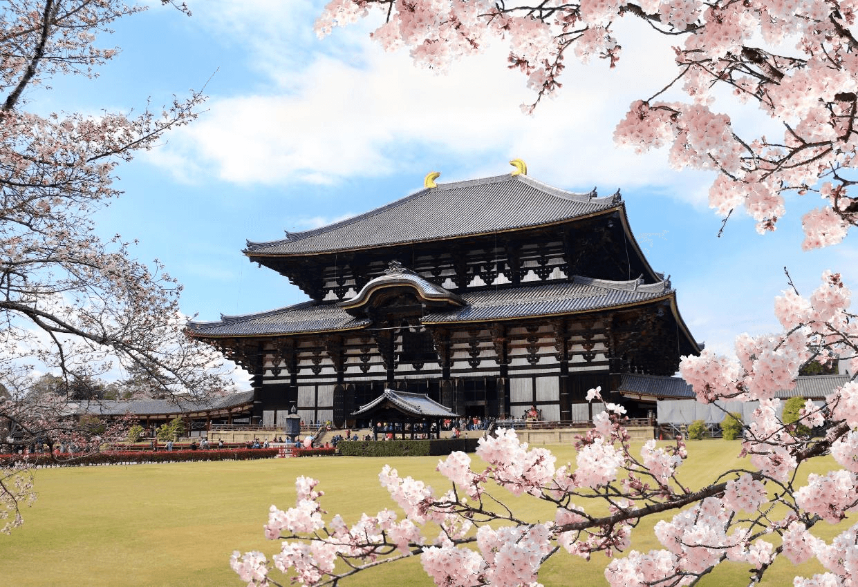 ไปเต๊อะไปแอ่ว…โอ้ยงามขนาดChiangmai OSAKA SHIRAKAWAGO TAKAYAMA KYOTO 6 วัน 4 คืน 3