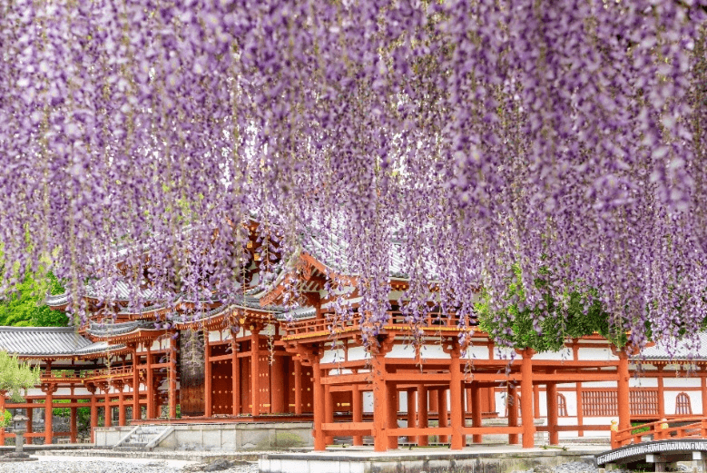 Whisper of nature OSAKA KYOTO SHIRAKAWAGO KAMIKOCHI 5 วัน 3 คืน 4