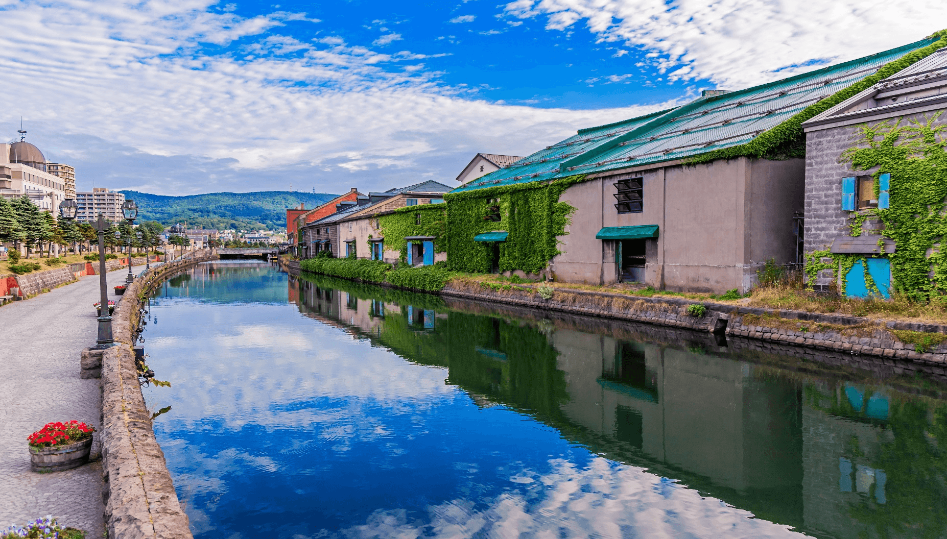 Lavender Romantic HOKKAIDO SAPPORO OTARU FURANO 5วัน 3คืน 1