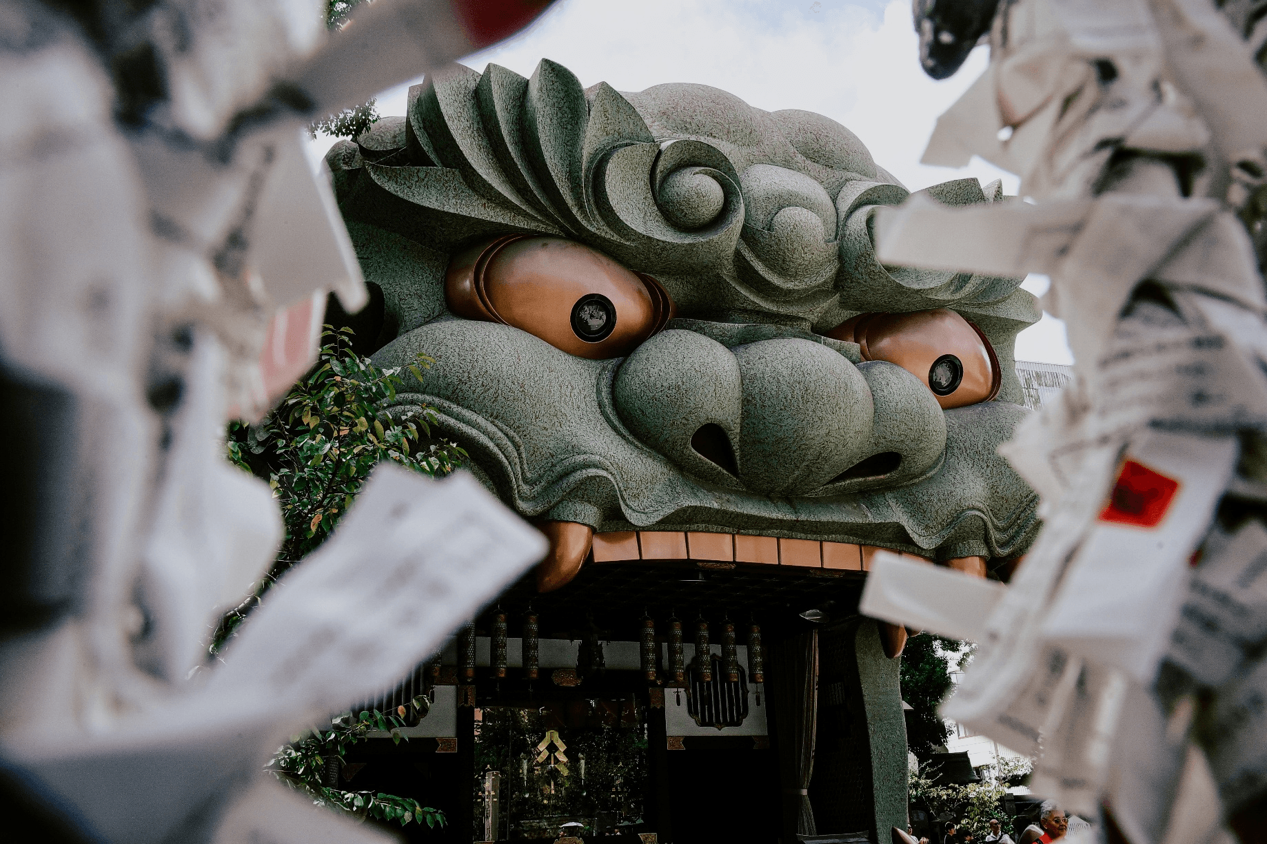 ฉันอู้บ่จ้าง แต่หัวใจไม่เคยจาง CHIANGMAI OSAKA KYOTO TAKAYAMA SHIRAKAWAKO 5 วัน 3 คืน 1