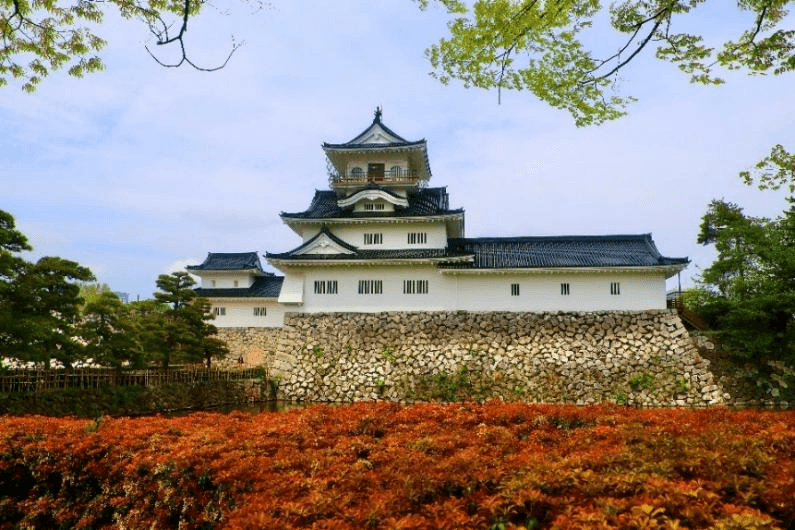 The Magical Hour TOYAMA OSAKA TOKYO FUJI HAKUBA KYOTO SHIRAKAWAGO 6 วัน 4 คืน 5