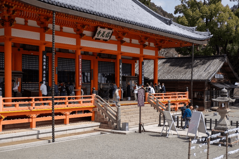 The Magical Hour TOYAMA OSAKA TOKYO FUJI HAKUBA KYOTO SHIRAKAWAGO 6 วัน 4 คืน 2