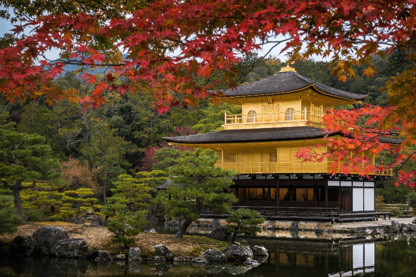 The Magical Hour TOYAMA OSAKA TOKYO FUJI HAKUBA KYOTO SHIRAKAWAGO 6 วัน 4 คืน 3