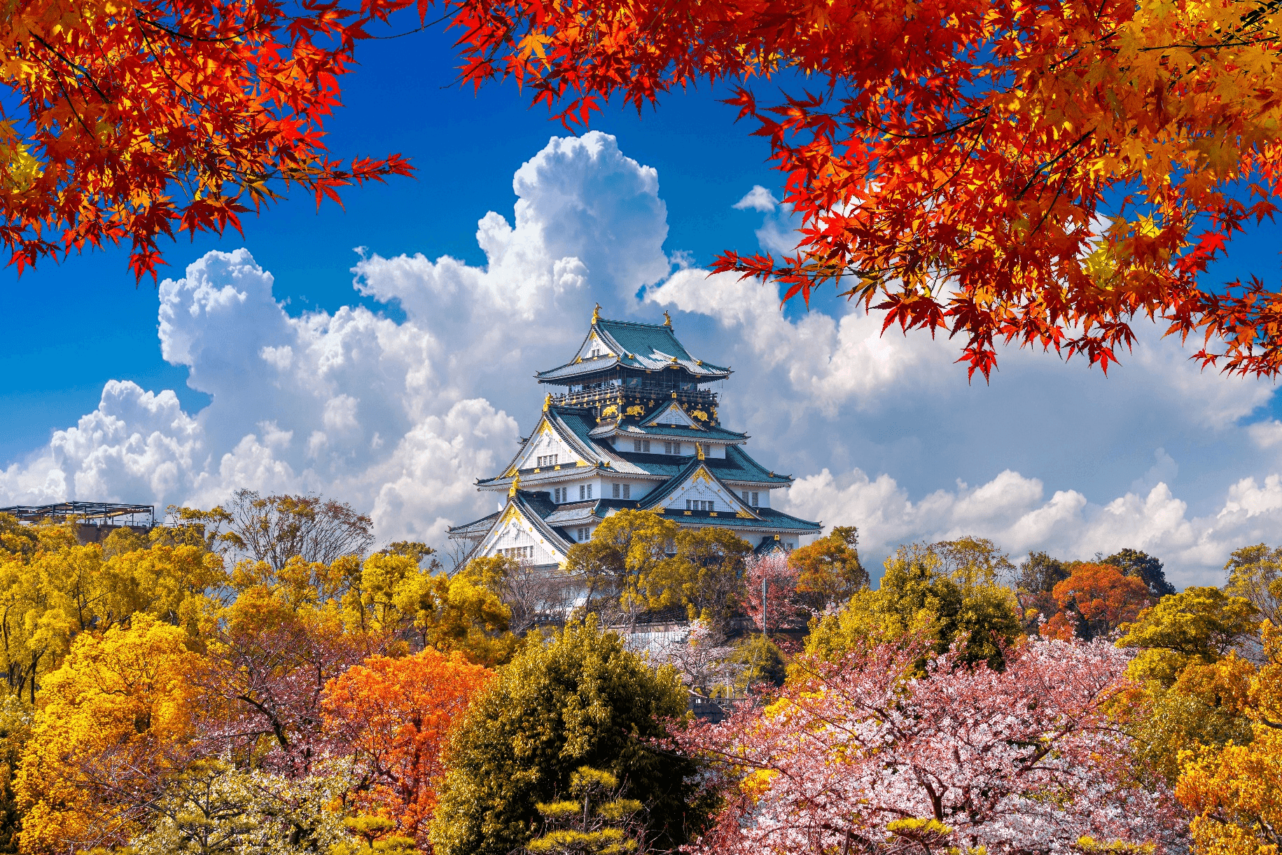 Beautiful nature... OSAKA TOKYO FUJI KYOTO NARA SHIRAKAWAGO MATSHUMOTO 6 วัน 4 คืน 4