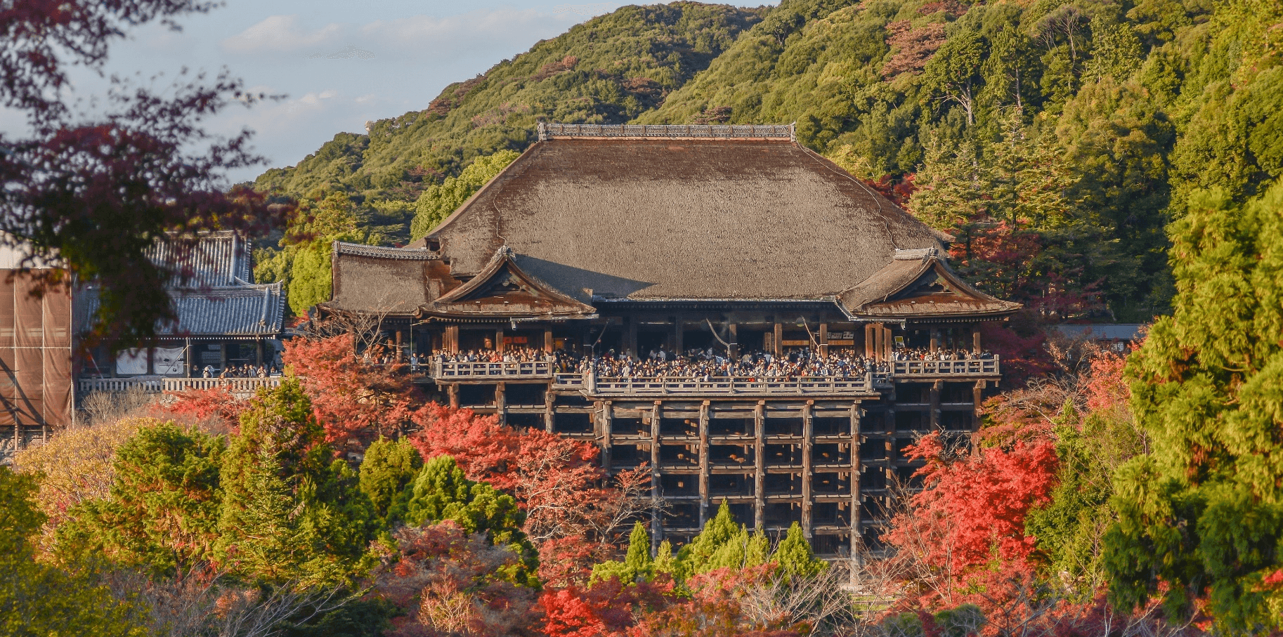 Beauty of two seasons… OSAKA KYOTO NARA 5 วัน 3 คืน 5