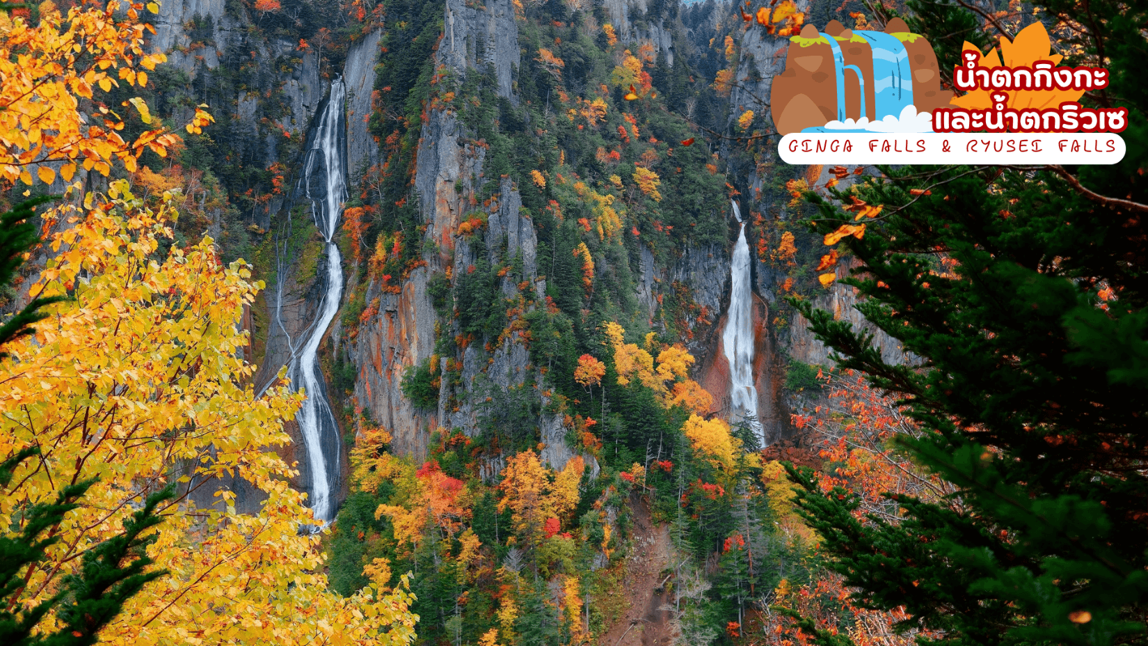 HOKKAIDO SOUNKYO First Love AUTUMN 6D 4N 1
