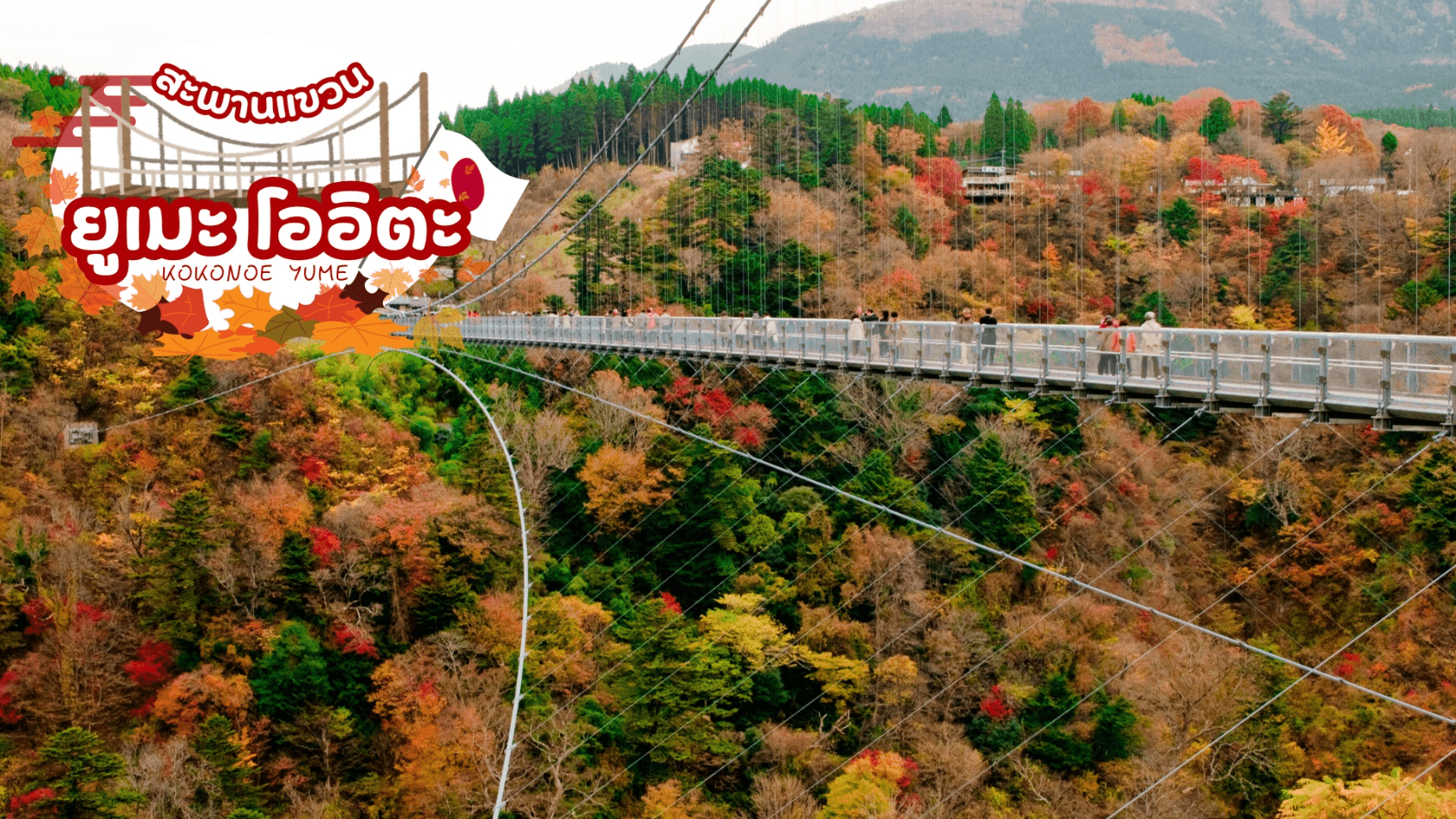 SOUTH KYUSHU KAGOSHIMA TAKACHIHO 7D 5N 4